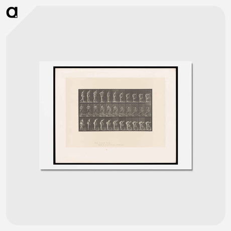 アートポストカード-Water Bearer
 - エドワード マイブリッジ Postcard.