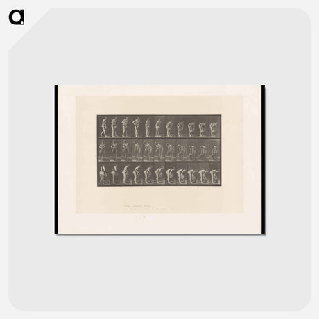 アートポストカード-Water Bearer
 - エドワード マイブリッジ Postcard.