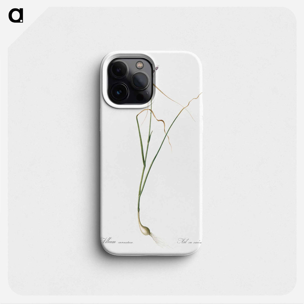 Keeled garlic illustration - ピエール ジョゼフ ルドゥーテ Phone Case.