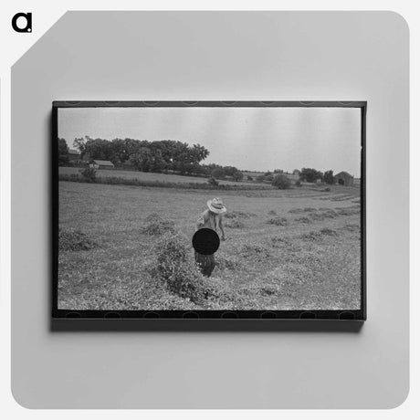 アートパネル-Cotton Seed Delinting
 - ラッセル リー Canvas.