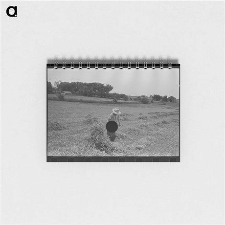 アートメモ帳-Cotton Seed Delinting
 - ラッセル リー Memo.