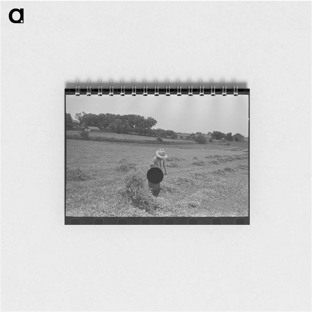 アートメモ帳-Cotton Seed Delinting
 - ラッセル リー Memo.
