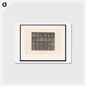 アートポストカード-Naked Woman Walking
 - エドワード マイブリッジ Postcard.