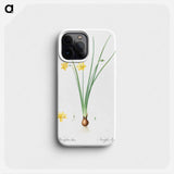 Daffodil illustration - ピエール ジョゼフ ルドゥーテ Phone Case.