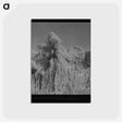 アートポストカード-Oats
 - ラッセル リー Postcard.