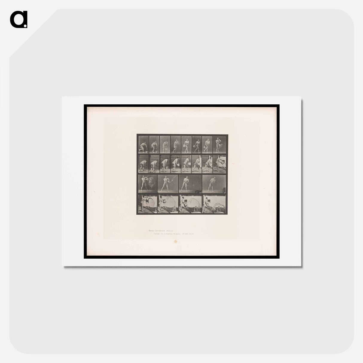 アートポストカード-Water Throwing
 - エドワード マイブリッジ Postcard.