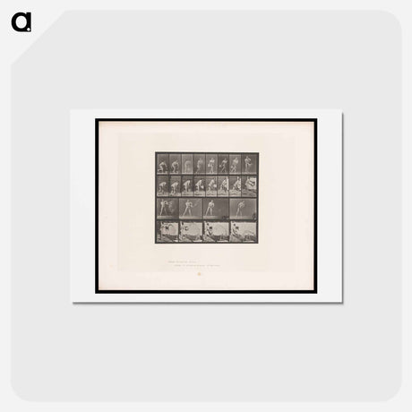 アートポストカード-Water Throwing
 - エドワード マイブリッジ Postcard.