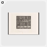 アートポストカード-Water Throwing
 - エドワード マイブリッジ Postcard.