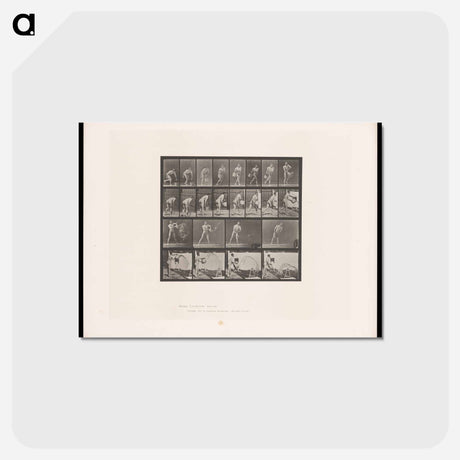 アートポストカード-Water Throwing
 - エドワード マイブリッジ Postcard.