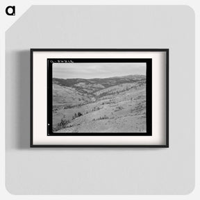 アートポスター-Upper end of Squaw Creek Valley near the mill, showing part of the timber resources - ドロテア ラング Poster.