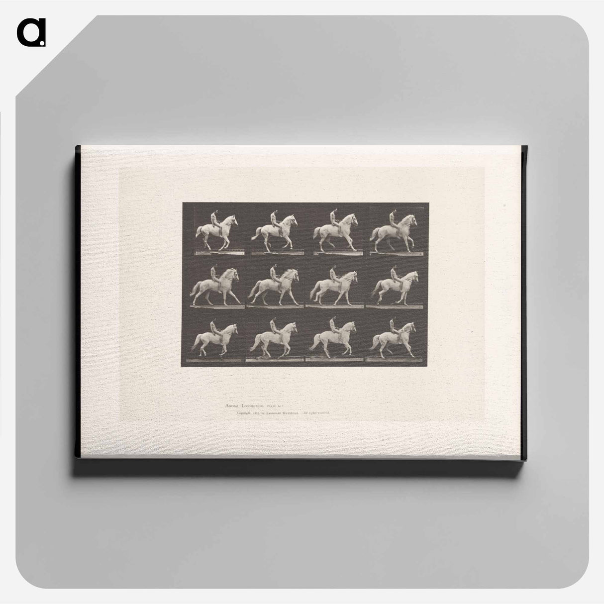 アートパネル-Naked Horseman
 - エドワード マイブリッジ Canvas.