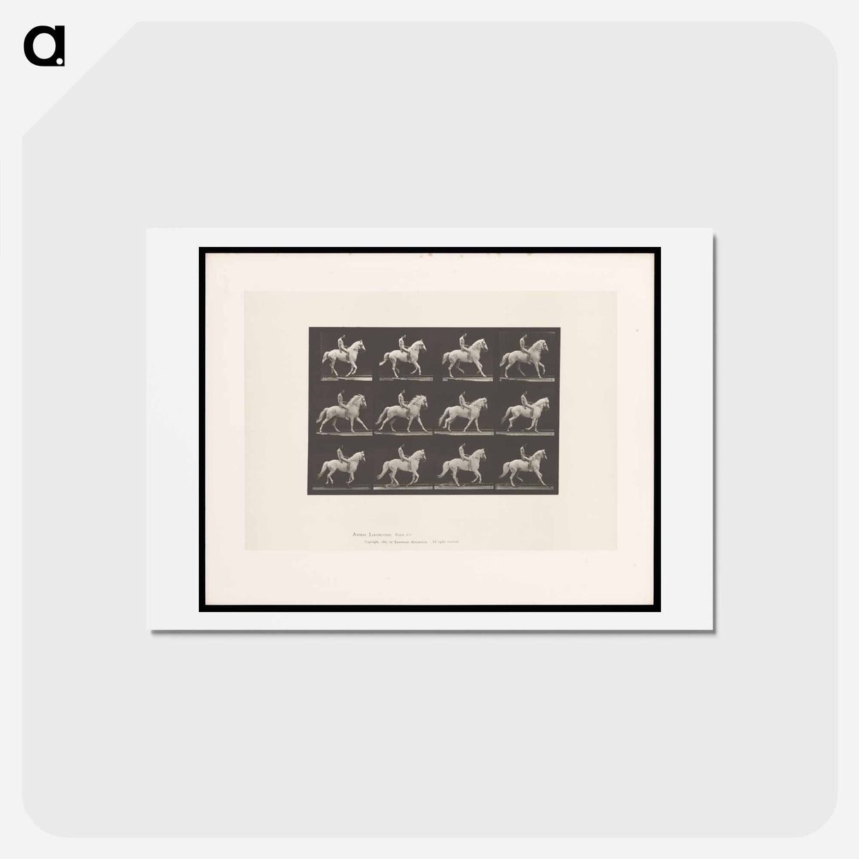 アートポストカード-Naked Horseman
 - エドワード マイブリッジ Postcard.