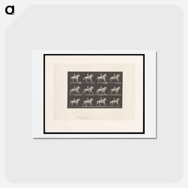 アートポストカード-Naked Horseman
 - エドワード マイブリッジ Postcard.