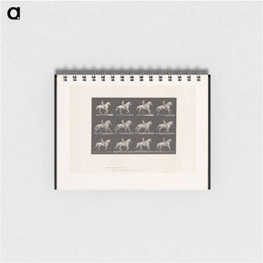 アートメモ帳-Naked Horseman
 - エドワード マイブリッジ Memo.