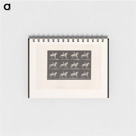 アートメモ帳-Naked Horseman
 - エドワード マイブリッジ Memo.