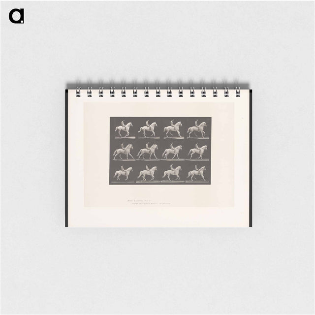 アートメモ帳-Naked Horseman
 - エドワード マイブリッジ Memo.