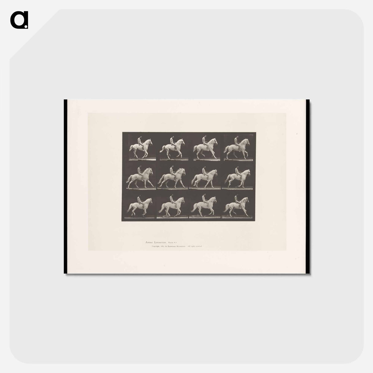 アートポストカード-Naked Horseman
 - エドワード マイブリッジ Postcard.