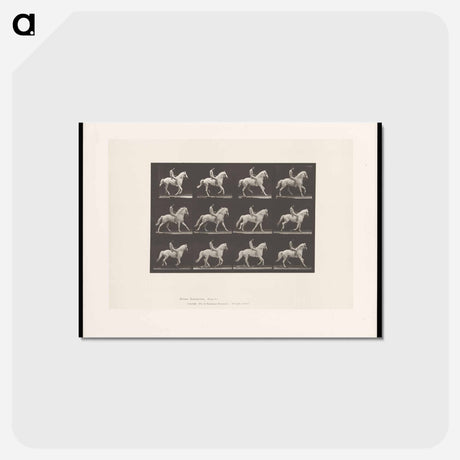 アートポストカード-Naked Horseman
 - エドワード マイブリッジ Postcard.
