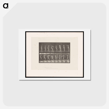 アートポストカード-Hammer Throw
 - エドワード マイブリッジ Postcard.