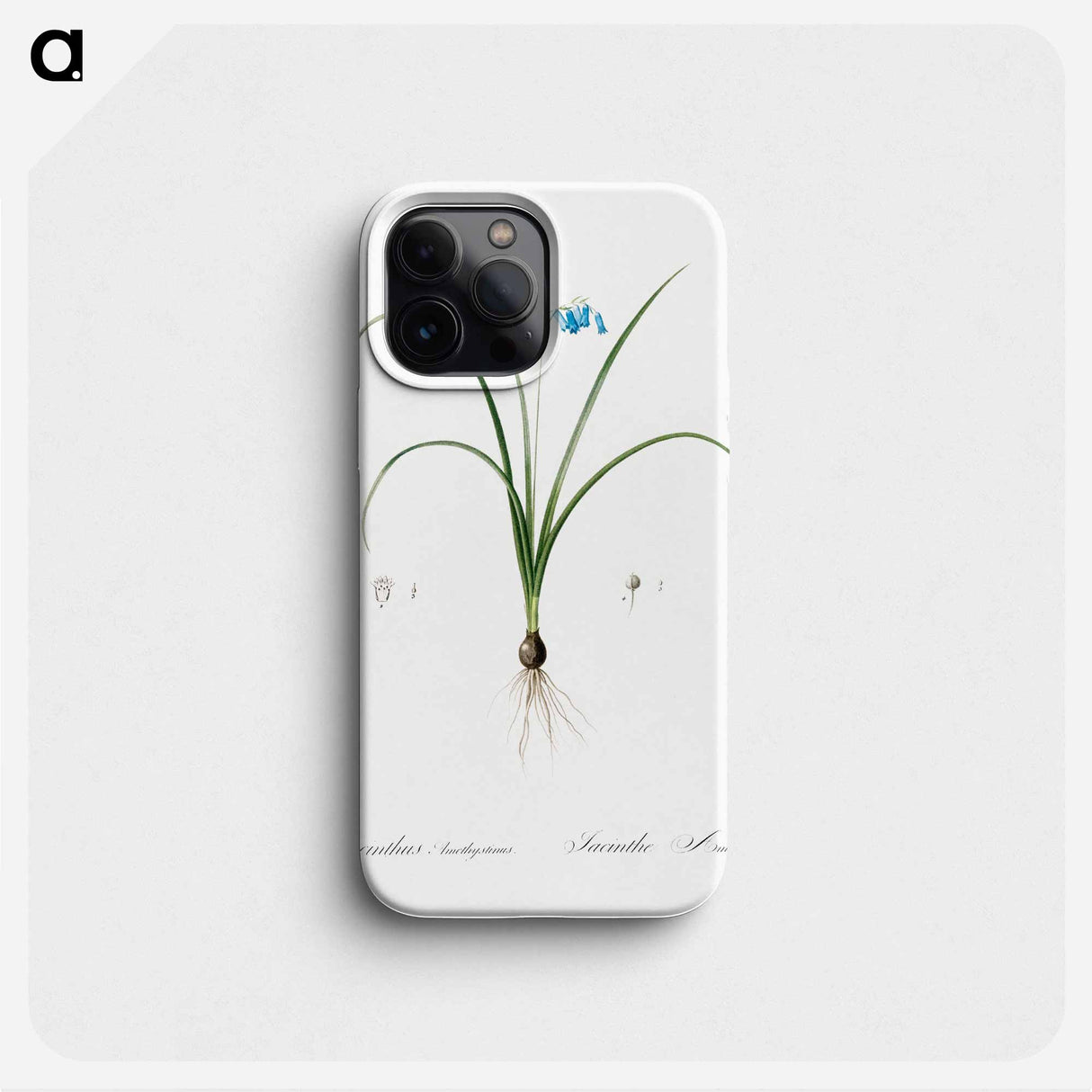 Brimeura - Pierre Joseph Redouté Phone Case.