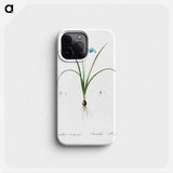 Brimeura - Pierre Joseph Redouté Phone Case.