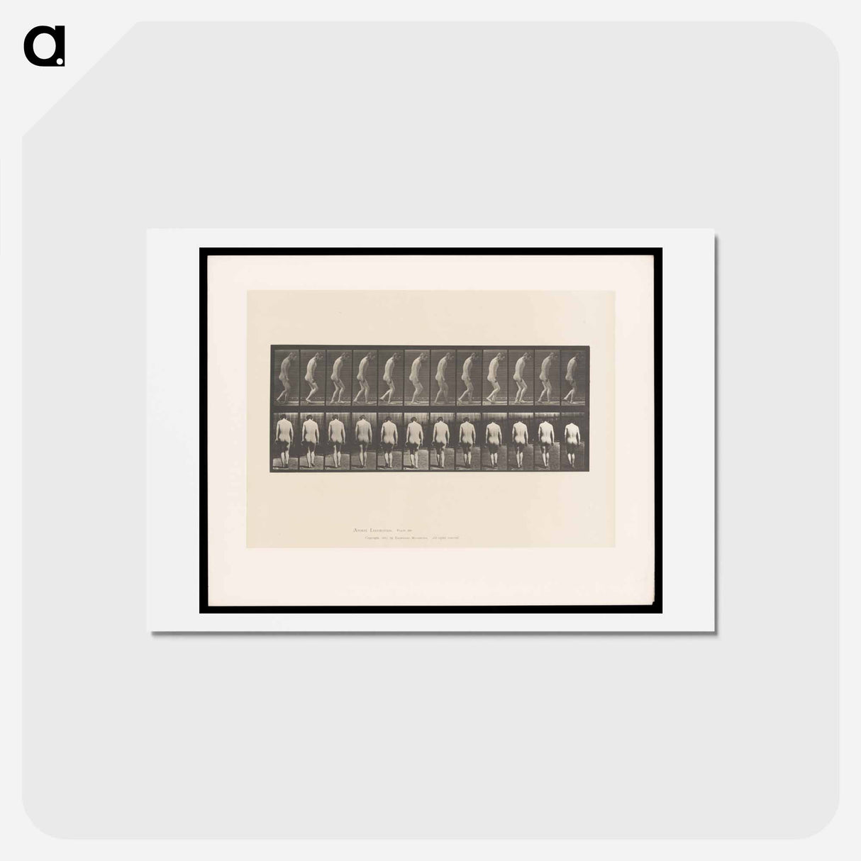 アートポストカード-Naked Man Walking
 - エドワード マイブリッジ Postcard.