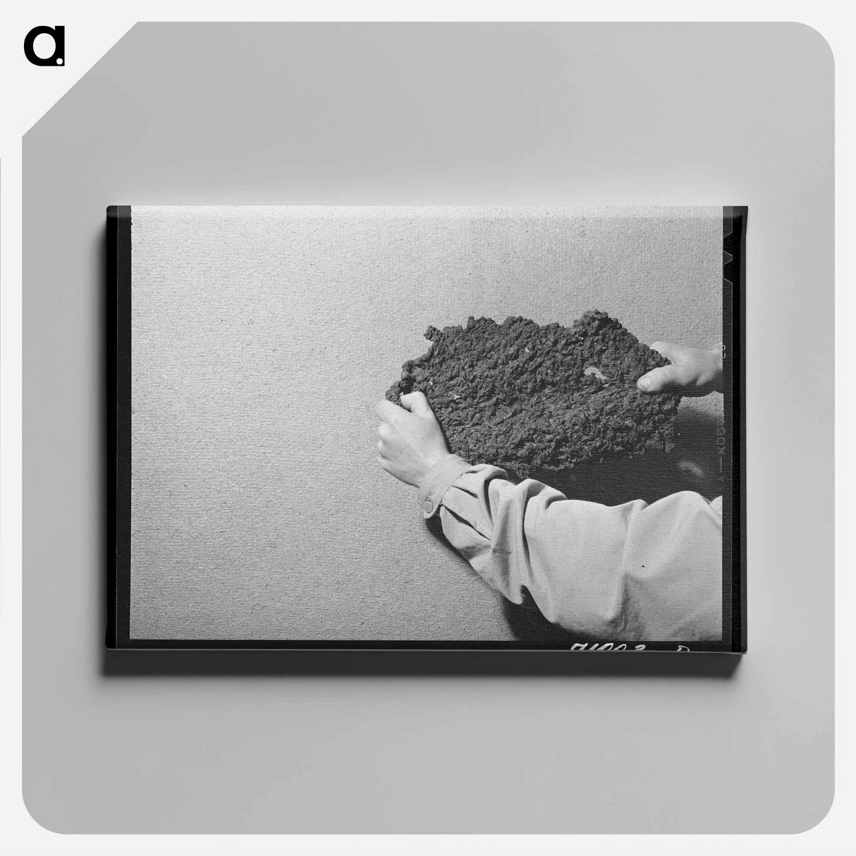 アートパネル-Cache County Berries
 - ラッセル リー Canvas.