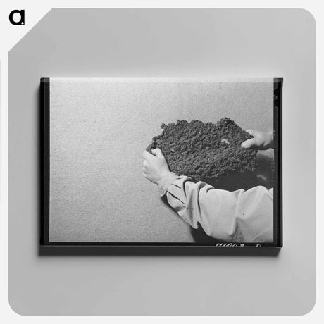 アートパネル-Cache County Berries
 - ラッセル リー Canvas.