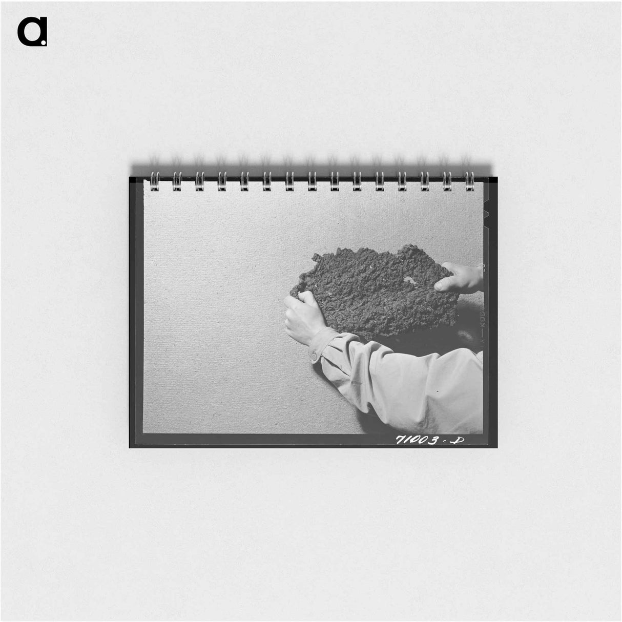 アートメモ帳-Cache County Berries
 - ラッセル リー Memo.