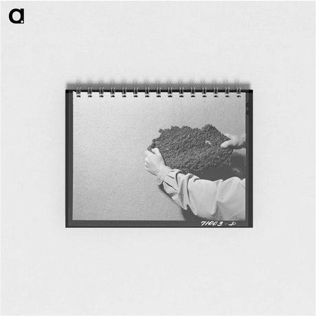 アートメモ帳-Cache County Berries
 - ラッセル リー Memo.