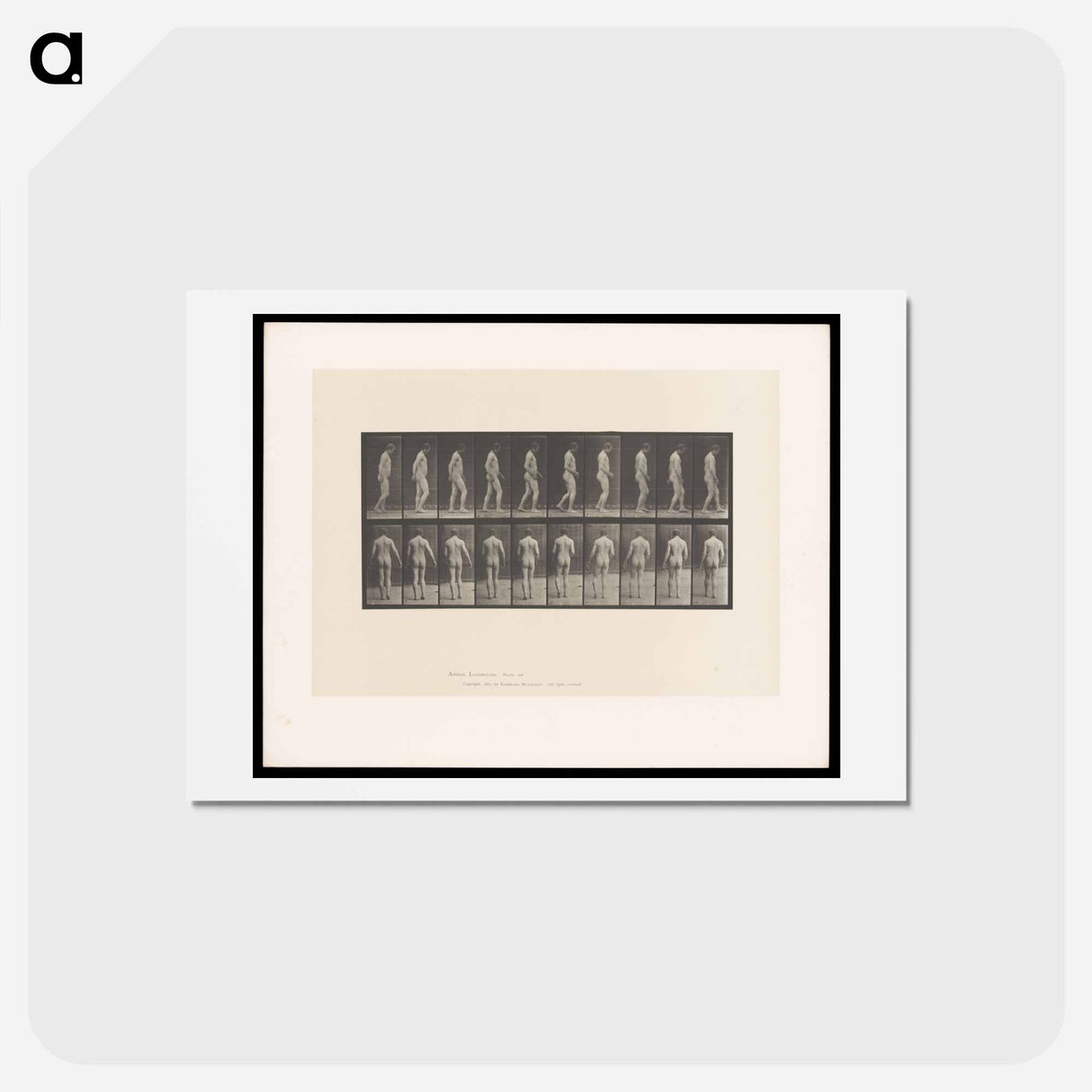 アートポストカード-Naked Man Walking
 - エドワード マイブリッジ Postcard.
