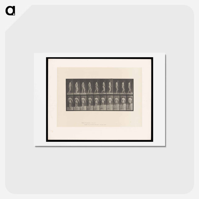 アートポストカード-Naked Man Walking
 - エドワード マイブリッジ Postcard.
