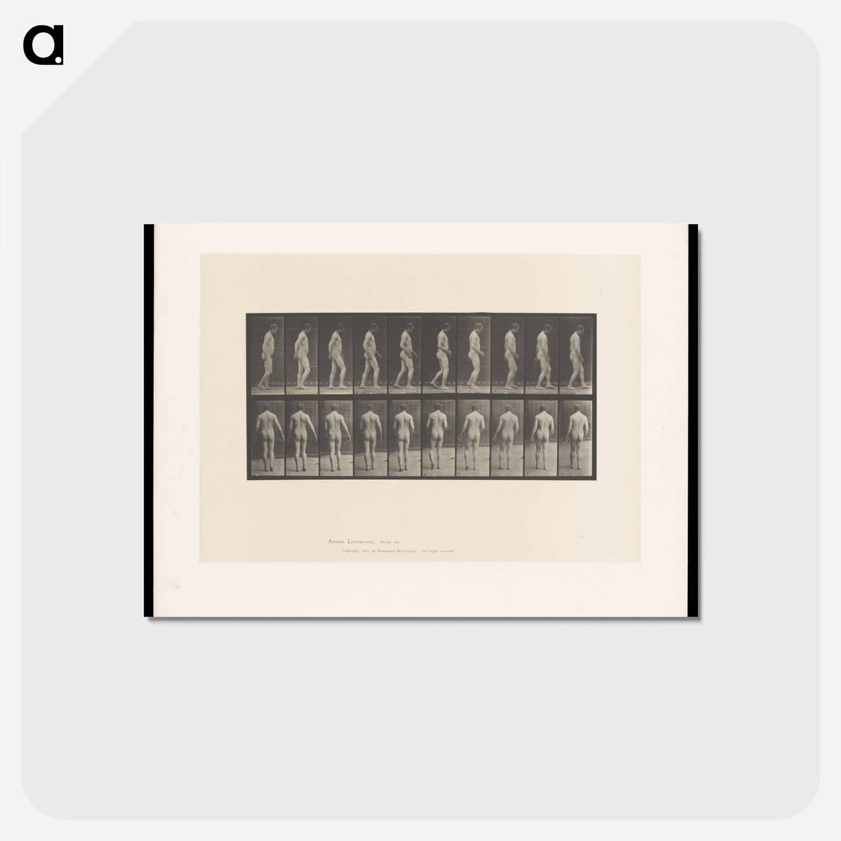 アートポストカード-Naked Man Walking
 - エドワード マイブリッジ Postcard.