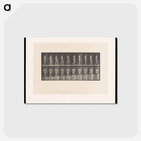 アートポストカード-Naked Man Walking
 - エドワード マイブリッジ Postcard.