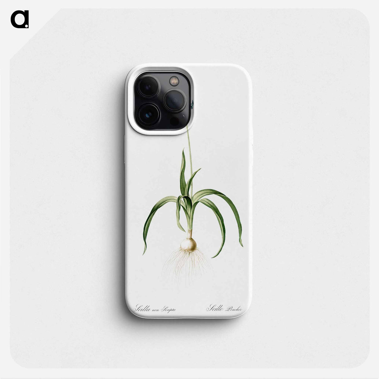 Veltheimia abyssinica illustration from Les liliacées - ピエール ジョゼフ ルドゥーテ Phone Case.