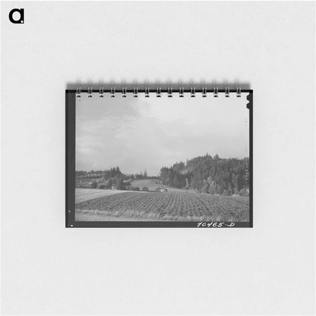 アートメモ帳-Wurtele Sugarcane Harvester Construction
 - ラッセル リー Memo.