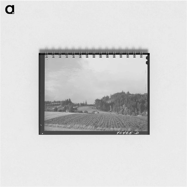 アートメモ帳-Wurtele Sugarcane Harvester Construction
 - ラッセル リー Memo.