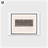 アートポストカード-The Throw
 - エドワード マイブリッジ Postcard.