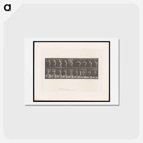 アートポストカード-The Throw
 - エドワード マイブリッジ Postcard.