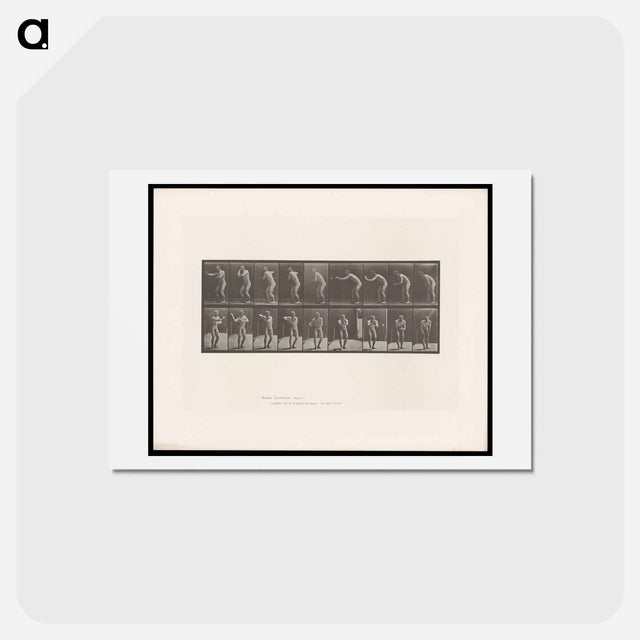 アートポストカード-The Throw
 - エドワード マイブリッジ Postcard.