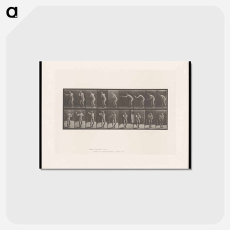 アートポストカード-The Throw
 - エドワード マイブリッジ Postcard.