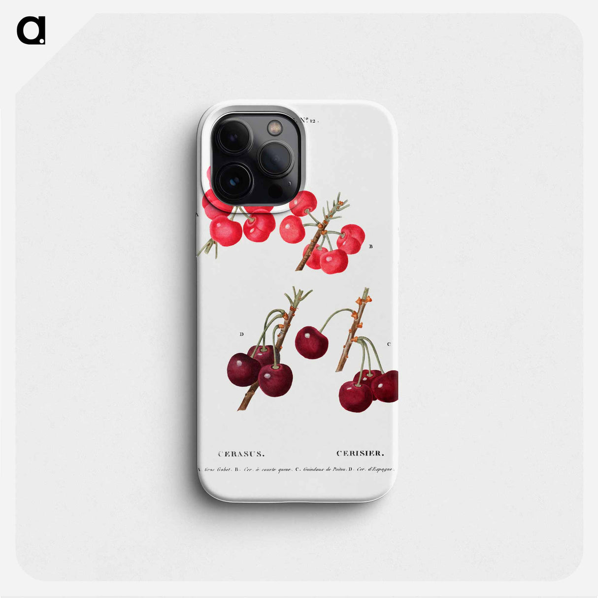 Cherry (Cerasus) - Pierre Joseph Redouté Phone Case.