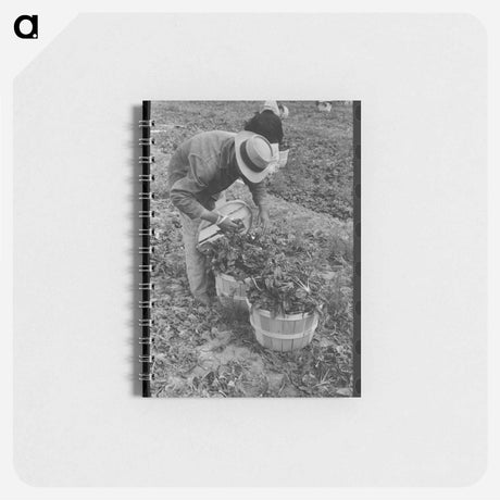 アートメモ帳-Uncompahgre Valley Hay
 - ラッセル リー Memo.