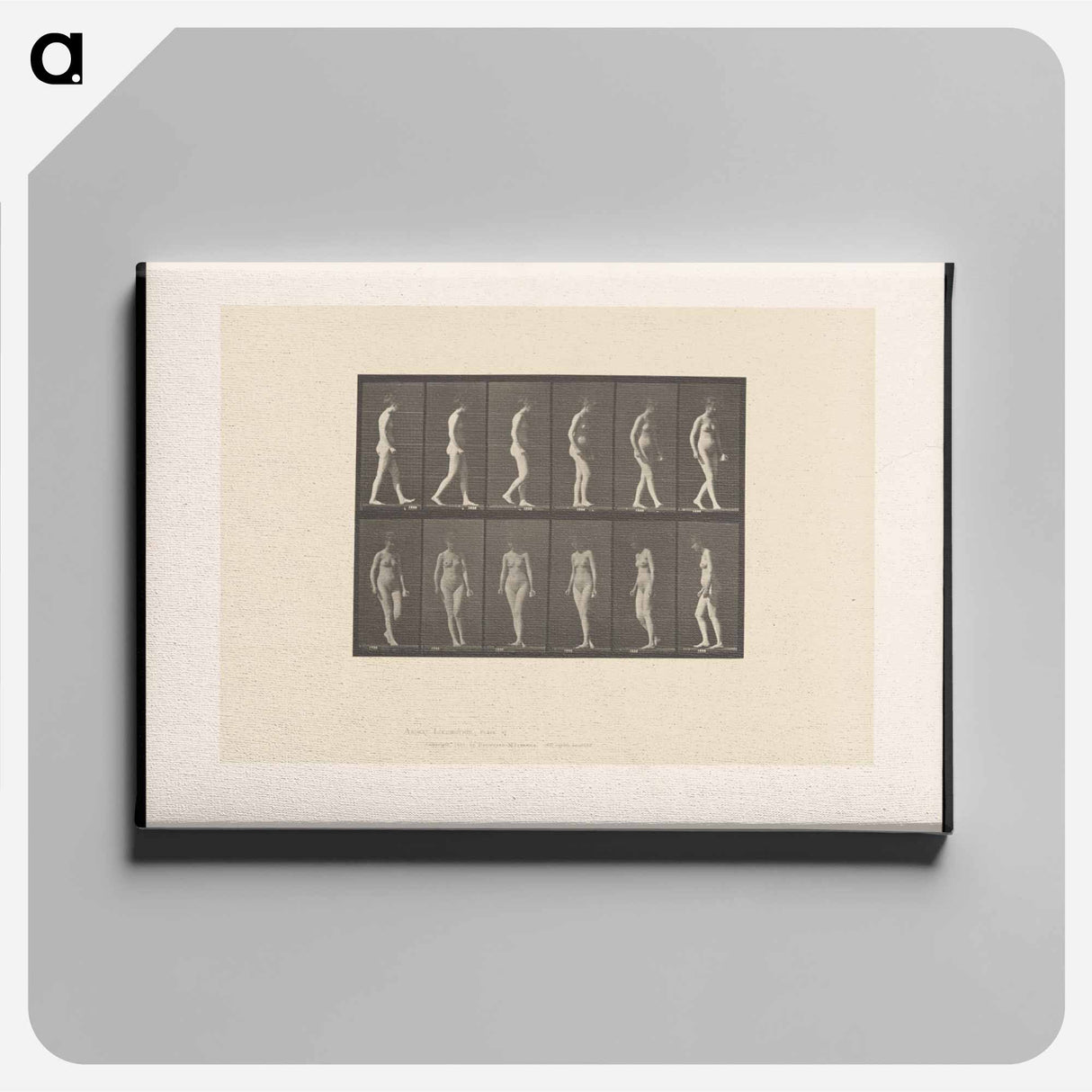 アートパネル-Naked Woman Walking
 - エドワード マイブリッジ Canvas.