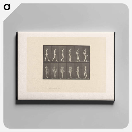 アートパネル-Naked Woman Walking
 - エドワード マイブリッジ Canvas.
