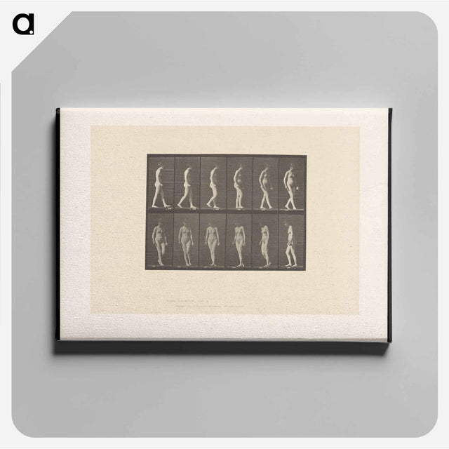 アートパネル-Naked Woman Walking
 - エドワード マイブリッジ Canvas.