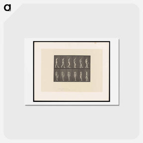 アートポストカード-Naked Woman Walking
 - エドワード マイブリッジ Postcard.
