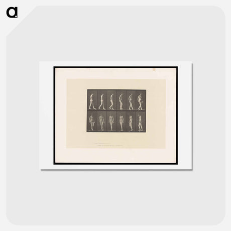 アートポストカード-Naked Woman Walking
 - エドワード マイブリッジ Postcard.
