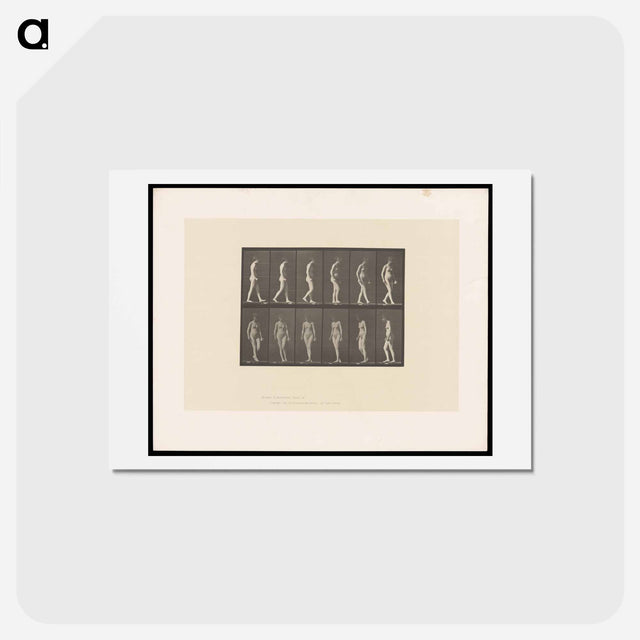 アートポストカード-Naked Woman Walking
 - エドワード マイブリッジ Postcard.