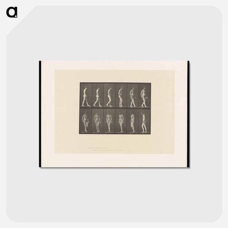 アートポストカード-Naked Woman Walking
 - エドワード マイブリッジ Postcard.